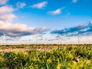 Energi i naturens tjeneste